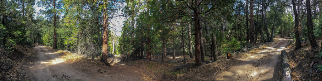 Trail Junction between the old jeep trail from Nelsons Camp and Lookout Road