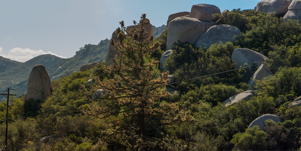 A rock climber making his way up one of the boulders on the backside of Mt Woodson.