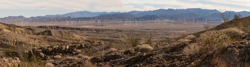 Looking down at all the windmills on the desert floor as we head down to the trailhead