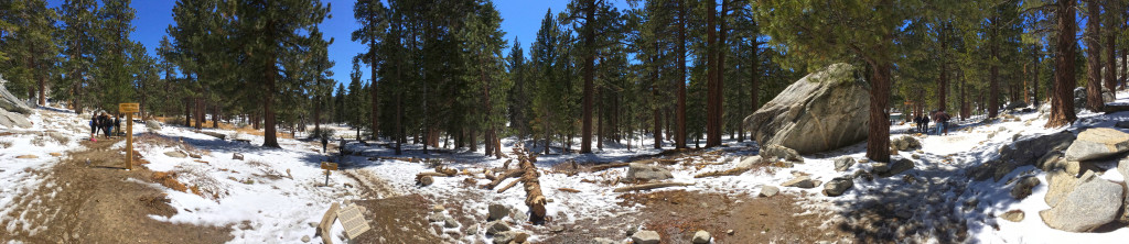 Heading towards the tram from the top of Skyline Trail