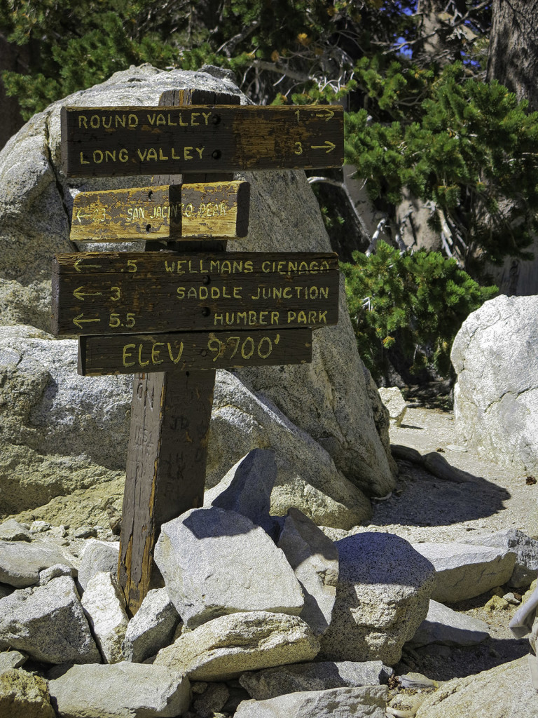 Wellmans Divide Junction Sign