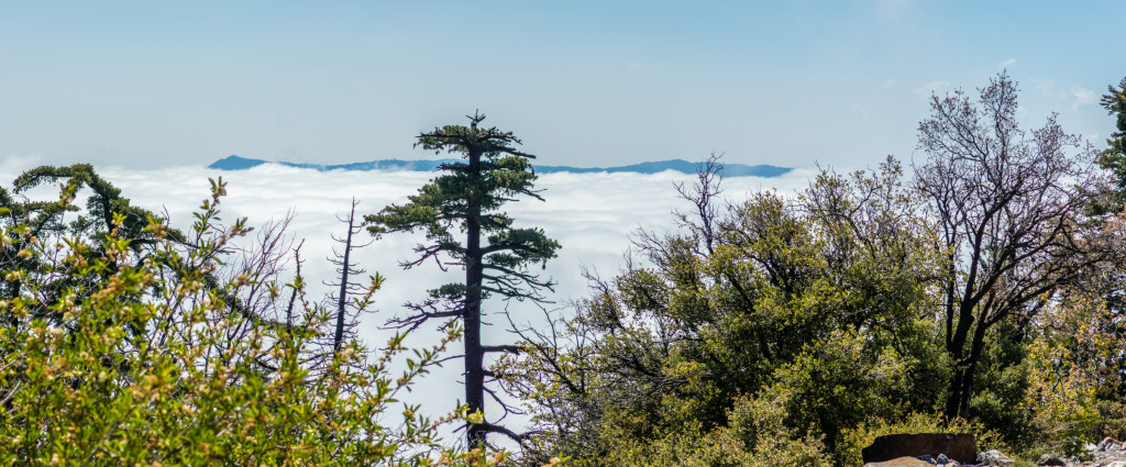 Looking east towards Mt Laguna poking out of the clouds.