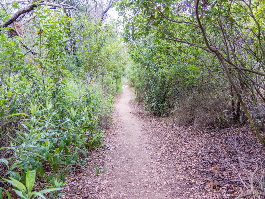 Creekside trail in the Blue Sky Reserve