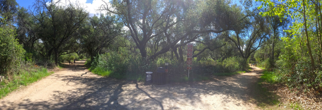The trail junction with the Green Valley Truck Trail (Blue Sky Reserve) and the Lake Poway Recreation Area. 