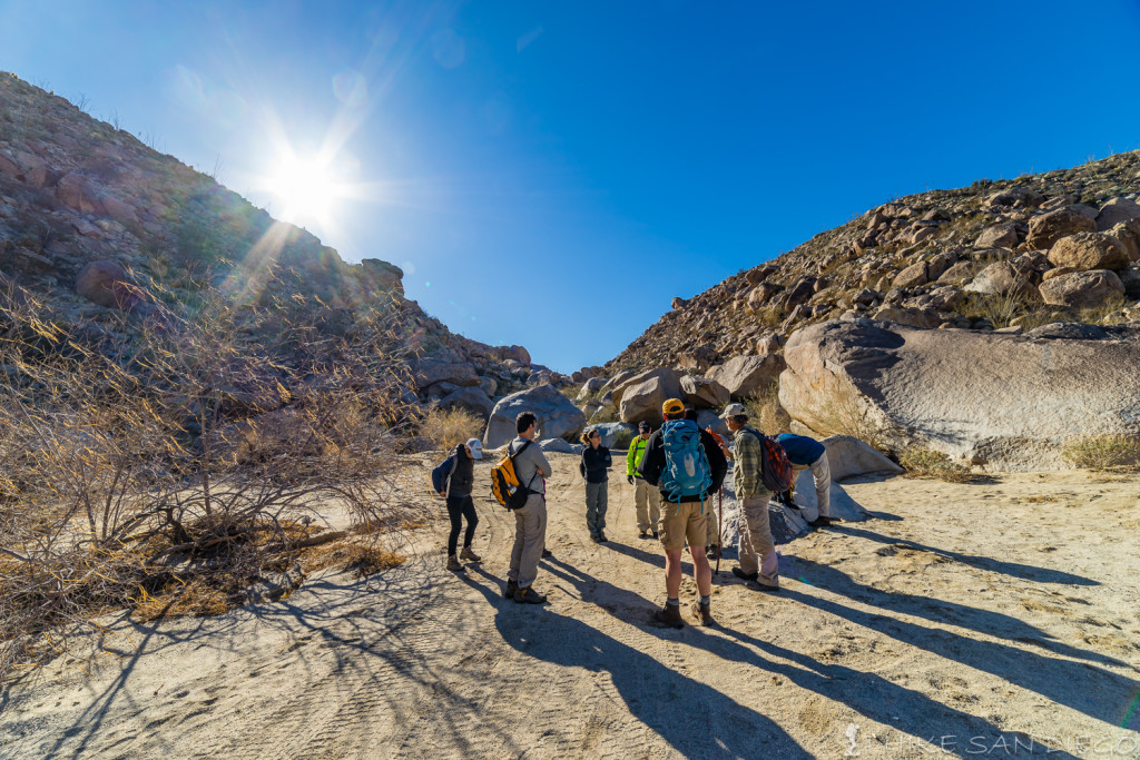 Trailhead, the trail starts towards the right and makes its way up and through the rocks towards the wash