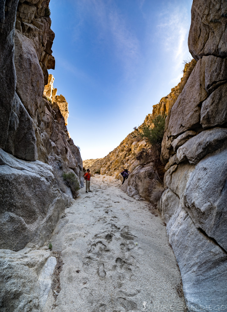 Looking back from the rock blocking the wash as the rest of the group heads up the left side of the canyon wall