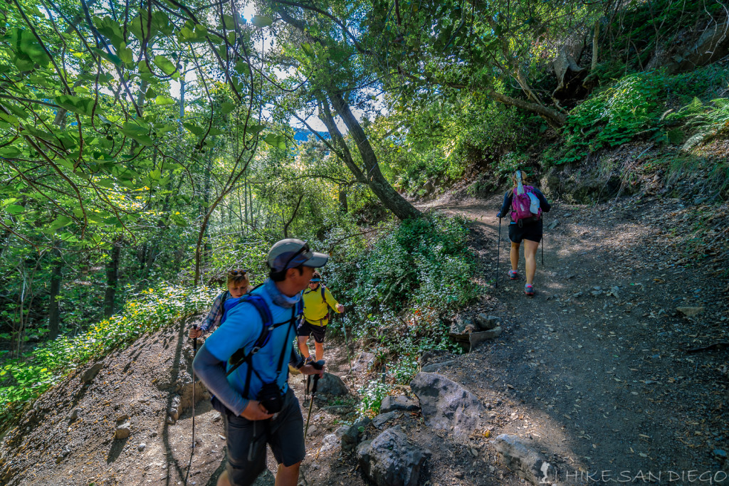 Heading up the switch backs on the lower Holly Jim Trail