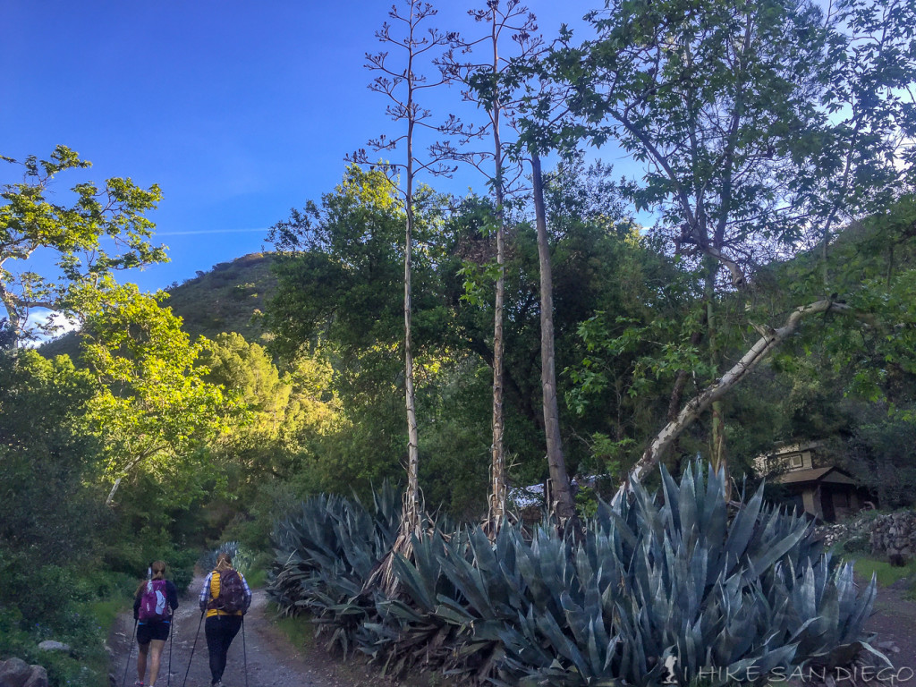 Hiking past some of the private residences along Holly Jim Canyon Road. 