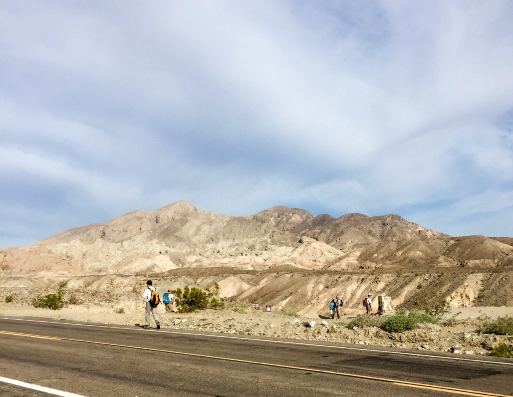 Trailhead for the Calcite Mine and Palm Wash