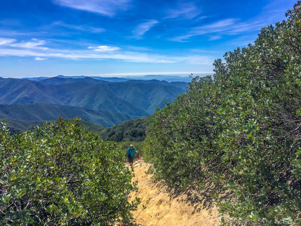 Hiking up the steeper Upper Holly Jim Trail