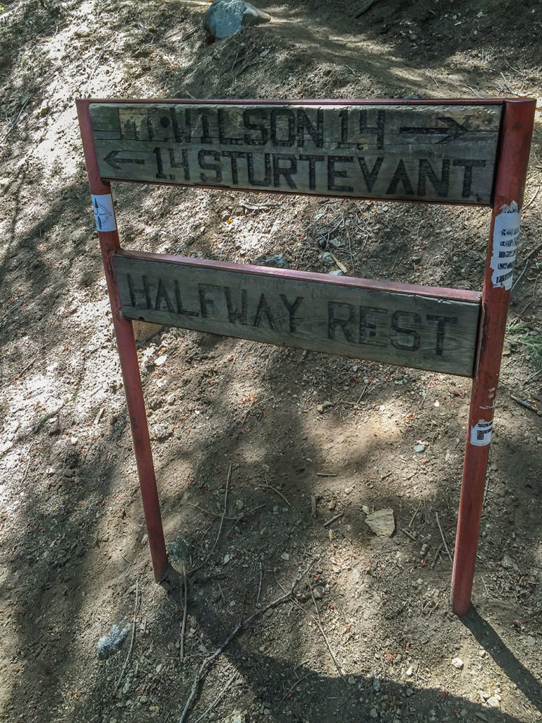 Half way along the switch backs between Sturtevant Camp and the top of Mt Wilson.