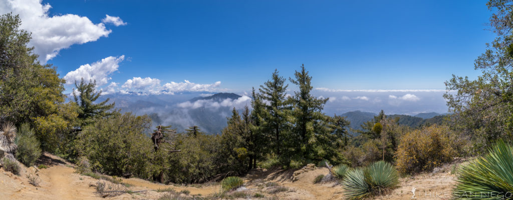 Looking back from the top of the trail by the Observatories and Echo Rock on Mt Wilson.