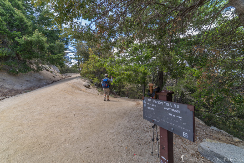 The trail splitting off of the old toll road on the way down from Mt Wilson. 