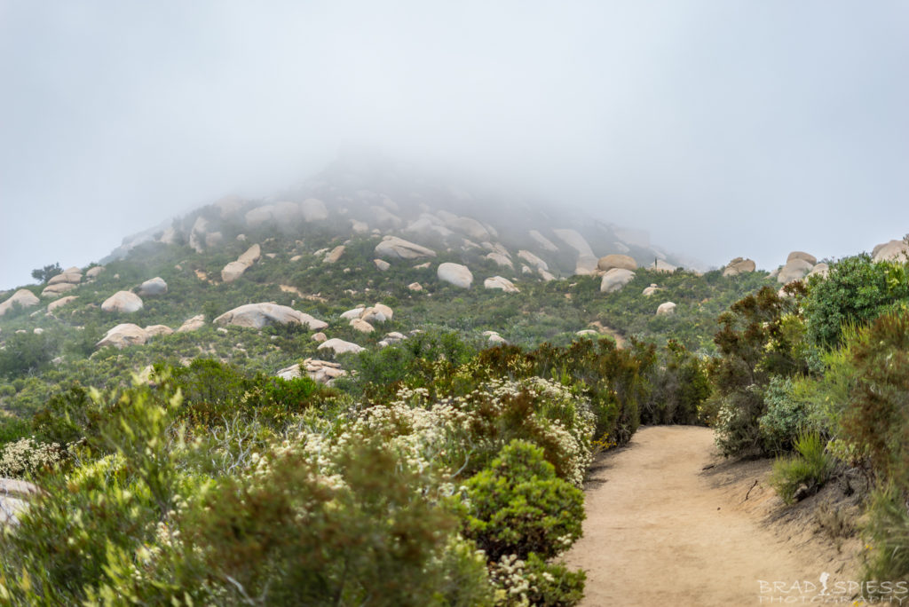 Foggy hike at 7am near the top of Mt Woodson
