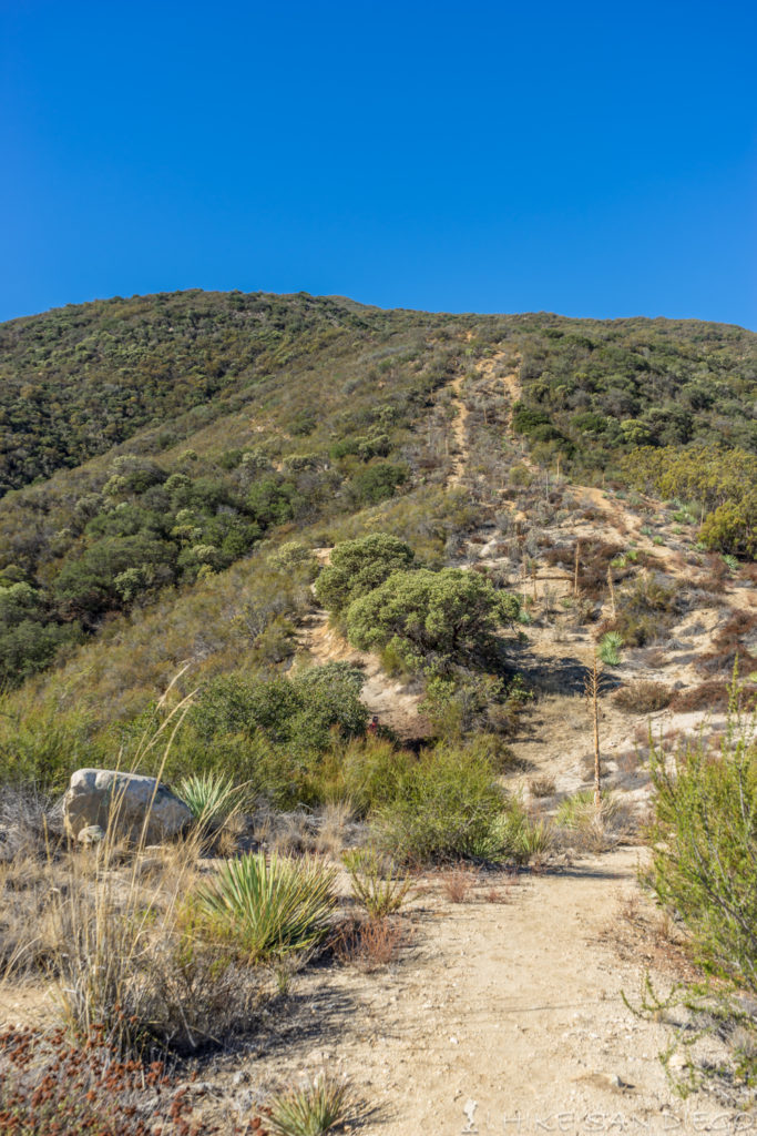 Stay on the trail ( to the left) do not take the steep trails ( on the right) that go straight up the ridge line