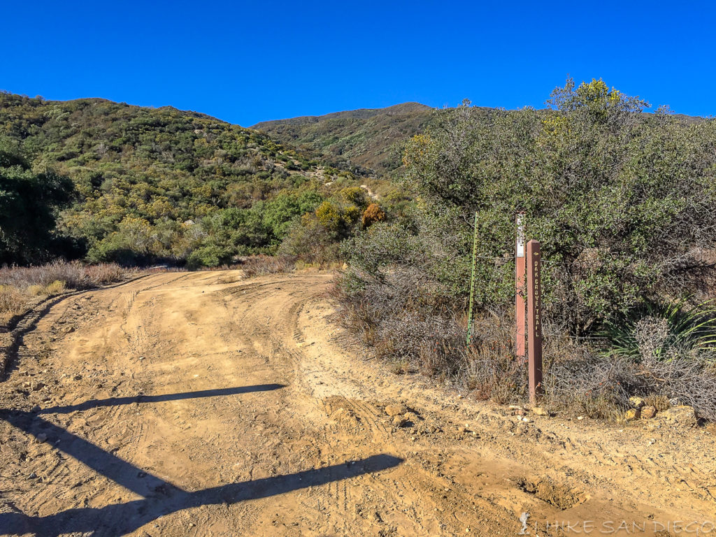 Follow the road up around the bend towards the water tank before you see the start of the single track trail. 