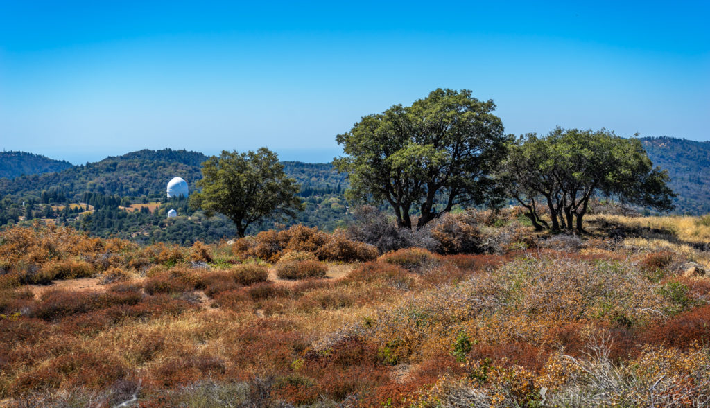 Hiking up to High Point on Palomar Mountain from Oak Grove