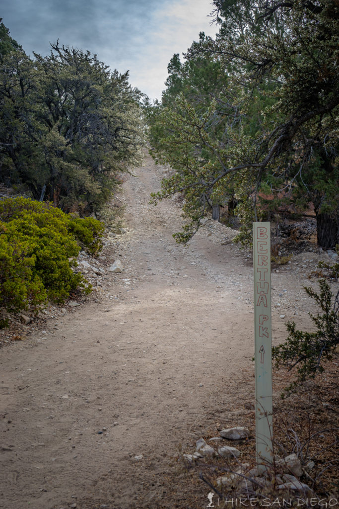 The sign pointing you towards the road up Bertha Peak