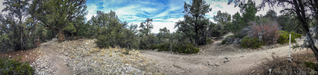 Connecting up with road to Bertha Peak from the Pacific Crest Trail.