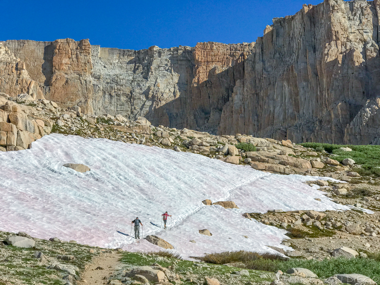 Heading up to High Lake on the New Army Pass trail through pink "Watermelon Snow".