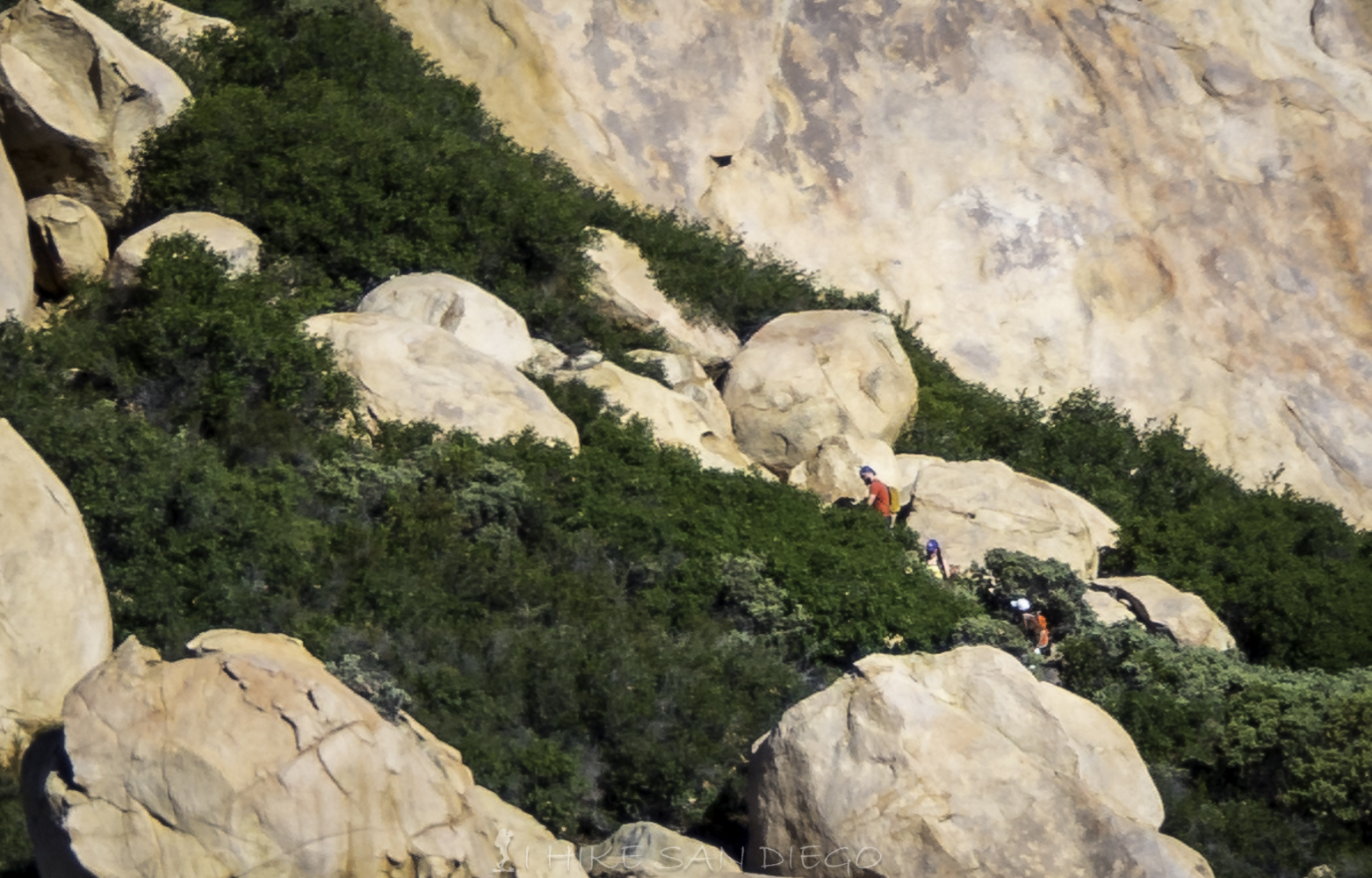 Hikers making their way up through the Manzanita and other chaparral