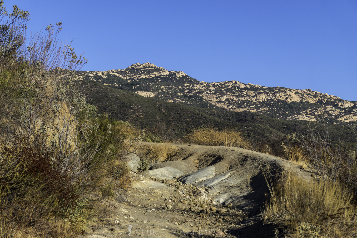 looking towards gaskill peak from road