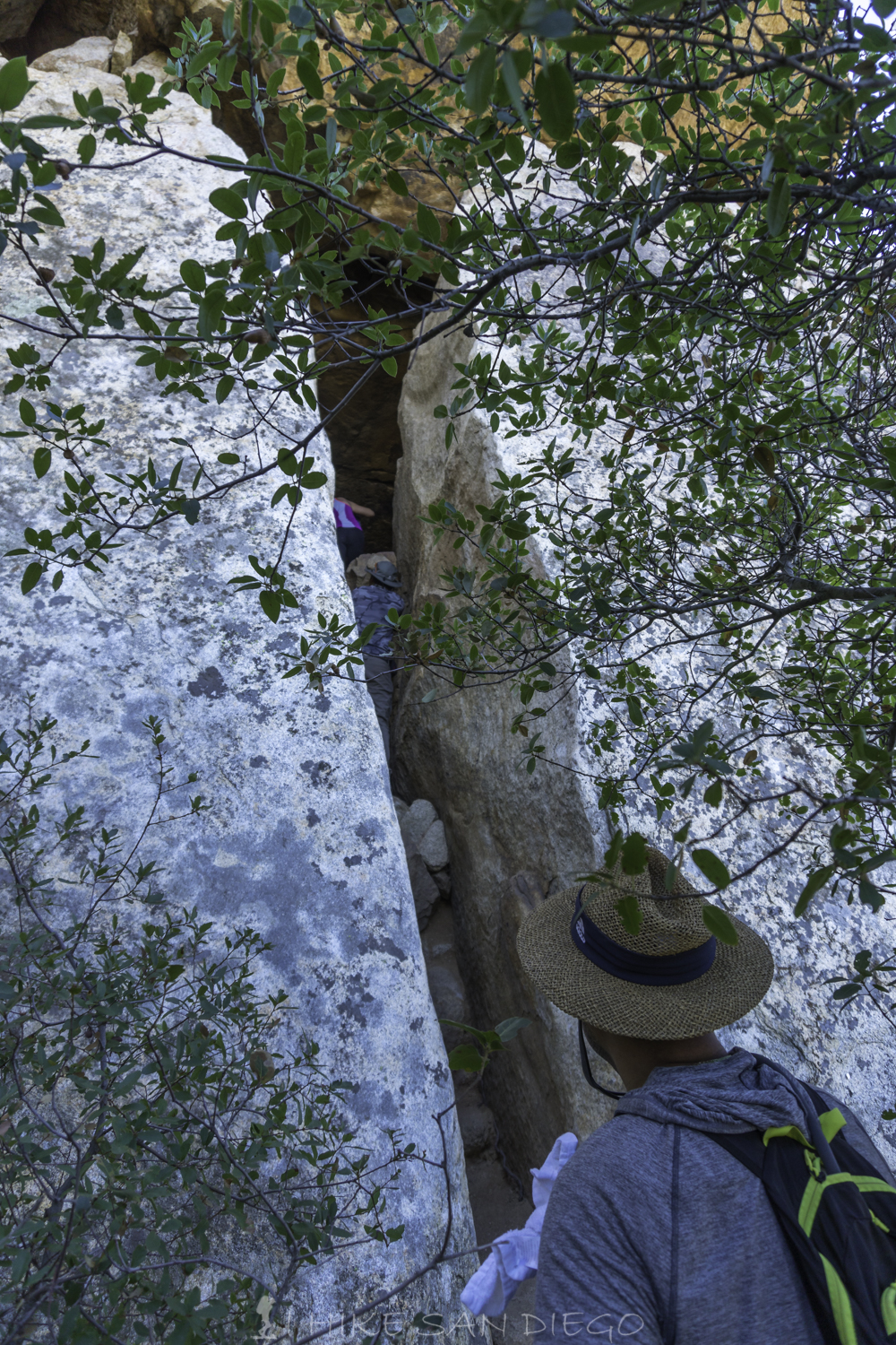 Looking up the vertical fissure you are going to have to climb up on Lawson Peak