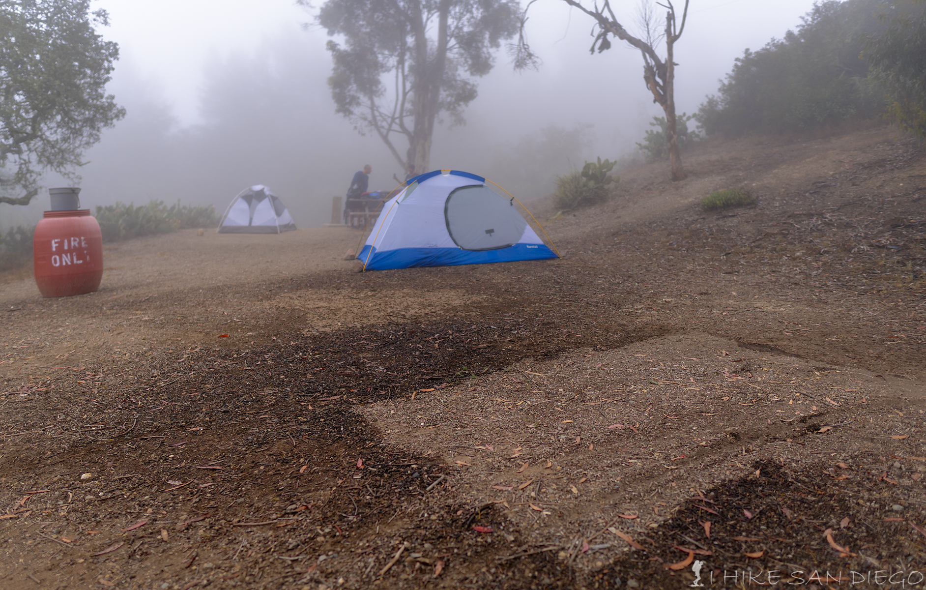 Getting dripped on in Blackjack Campgrounds on the Trans Catalina Island Trail