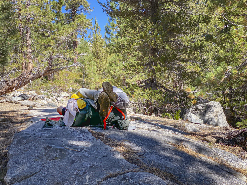 My buddy taking a siesta on the flat rocks near Woods Creek Crossing