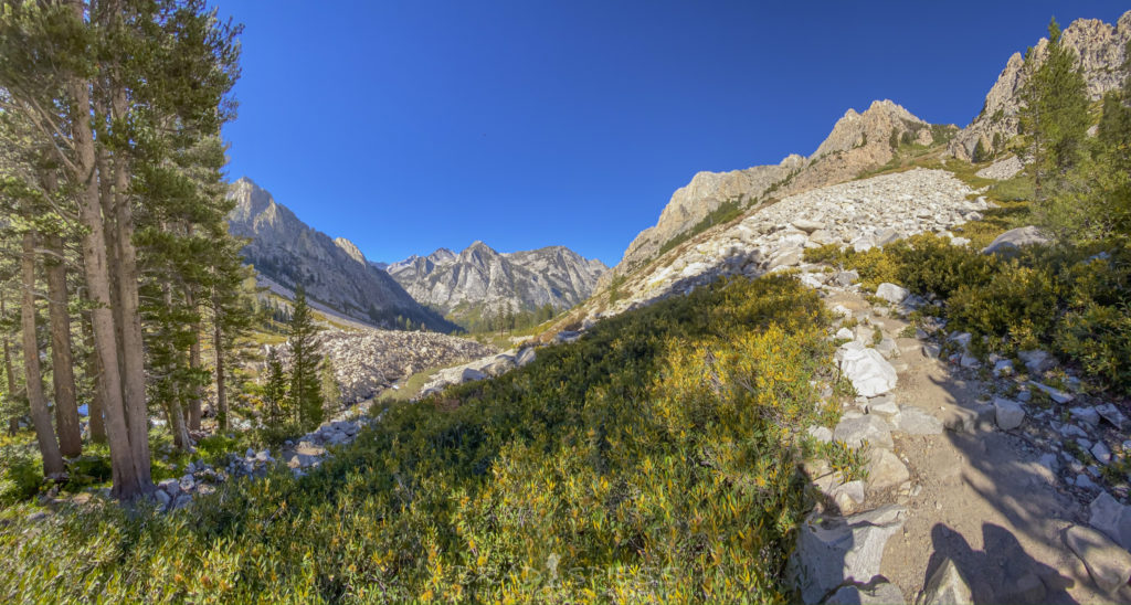 Landside area on the way down to Junction Meadows