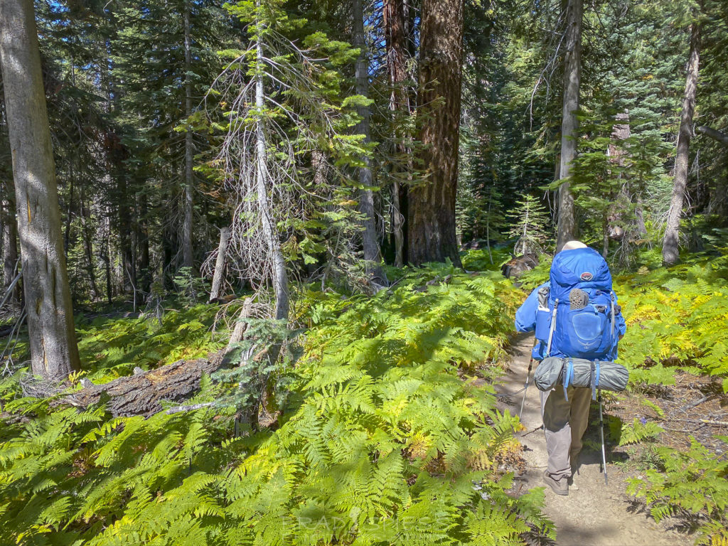 Another change in the landscape as we make our way down the Rae Lakes Loop along Bubbs Creek