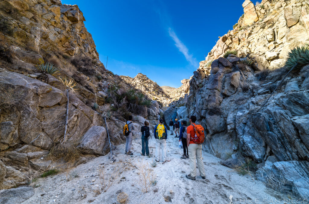 A good time of year to hike Anza Borrego: Harper Cabin and Dams Hike