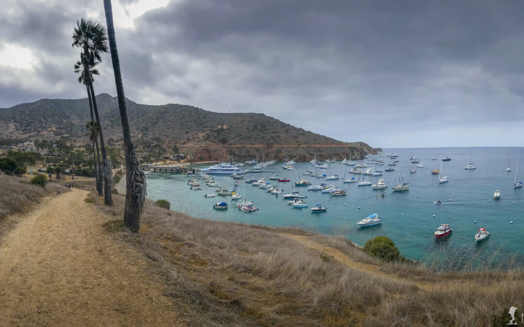 The Trans Catalina Trail : An adventure from Avalon to Two Harbors.