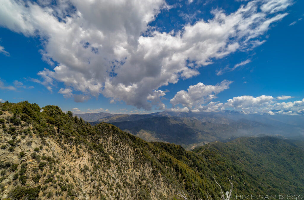 Hiking up to Mt Wilson from Chantry Flats